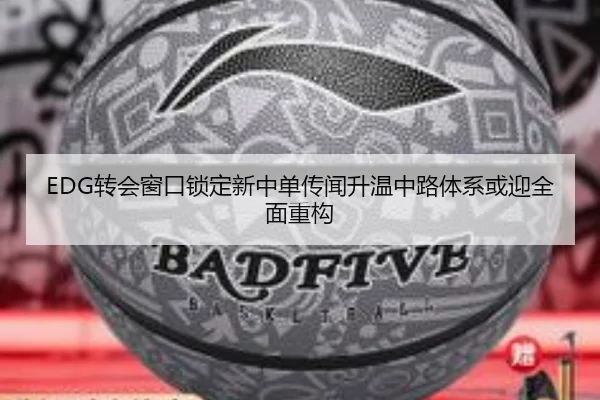 EDG转会窗口锁定新中单传闻升温中路体系或迎全面重构
